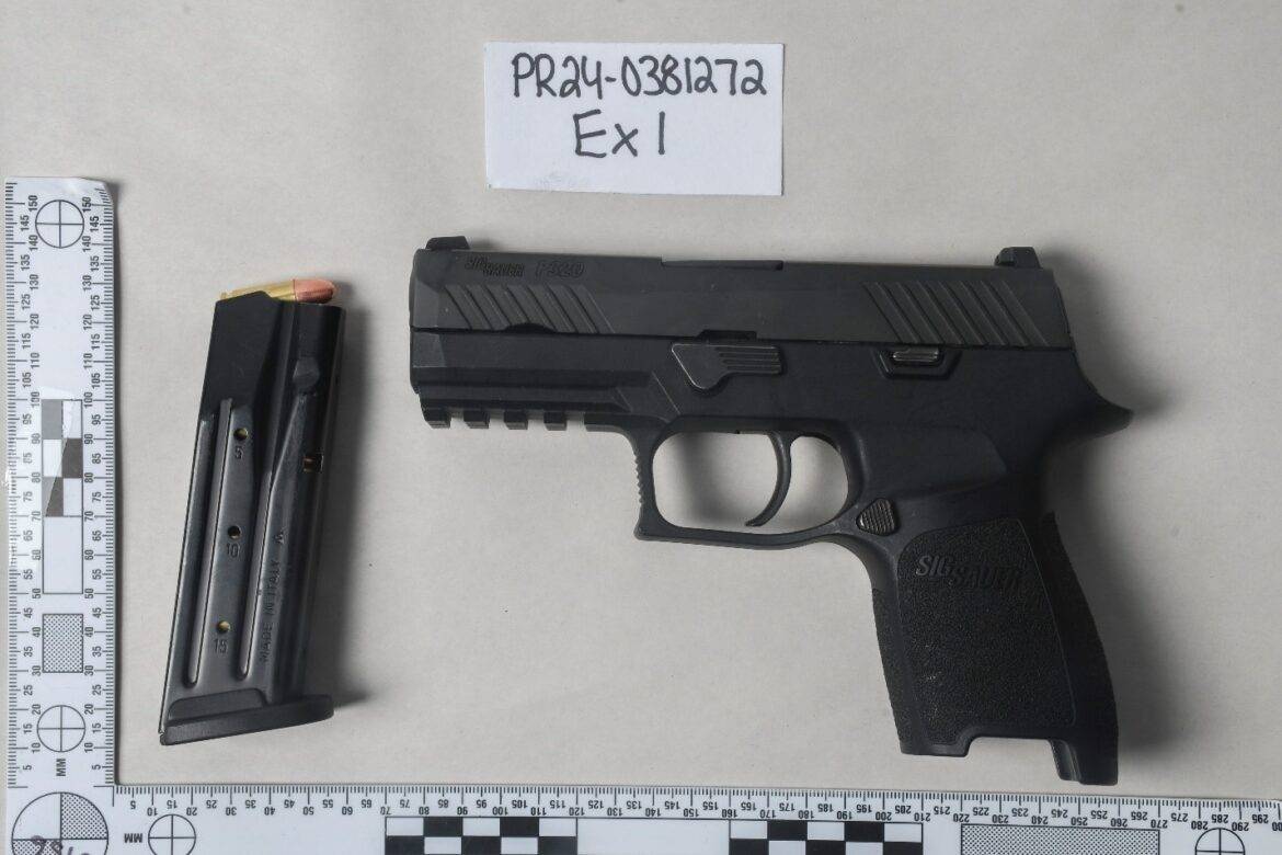 gun1