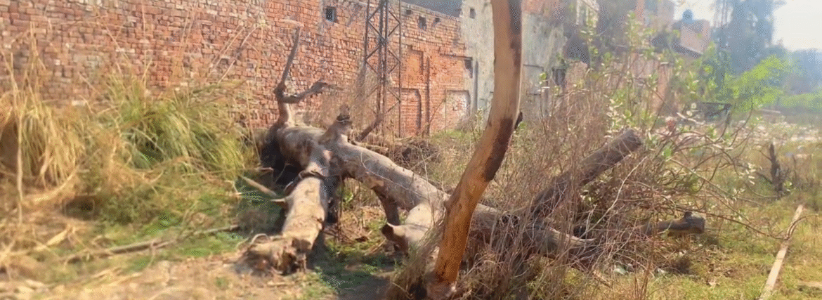 Screenshot 2025-09-18 at 11.37.42 AM