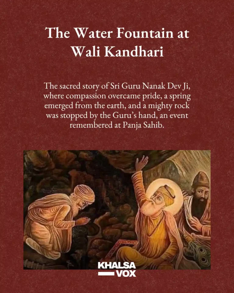 wali kandhari 1