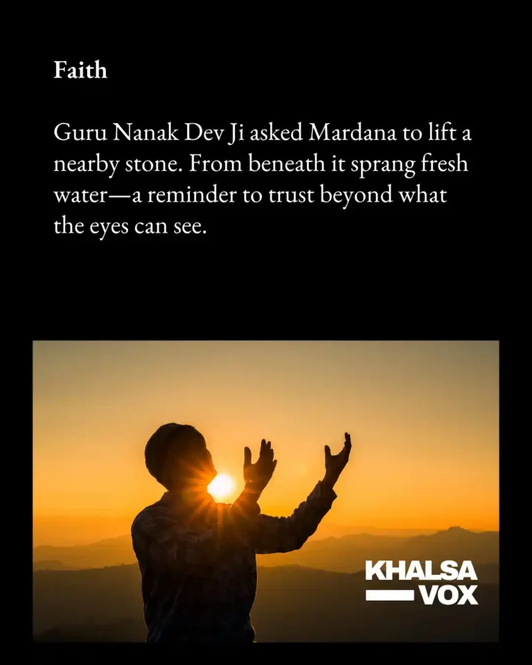 wali kandhari 3