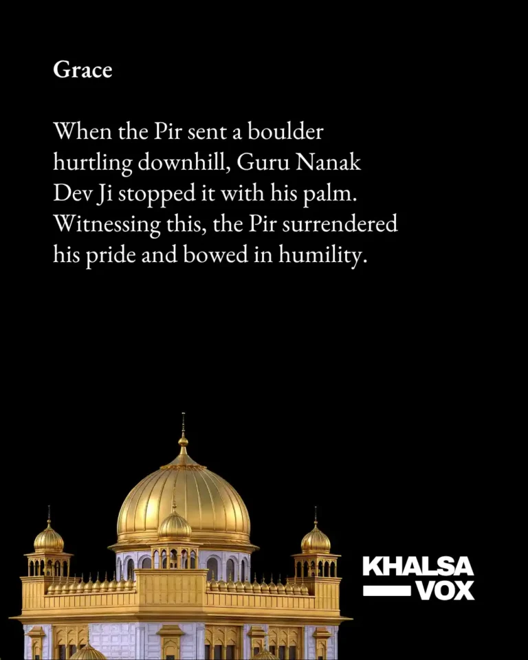wali kandhari 5